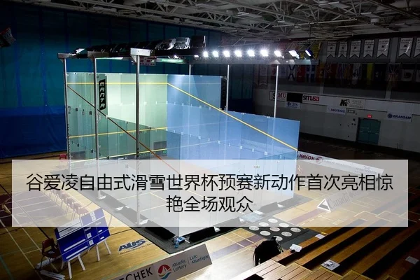 gu-ai-ling-zi-you-shi-hua-xue-shi-jie-bei-yu-sai-xin-dong-zuo-shou-ci-liang-xiang-jing-yan-quan-chang-guan-zhong-2-734.jpg